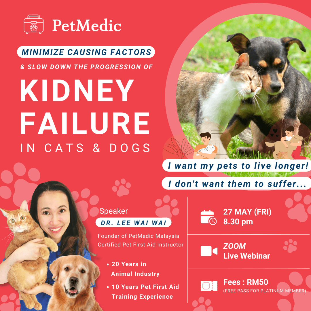 kidney-failure-in-cats-dogs